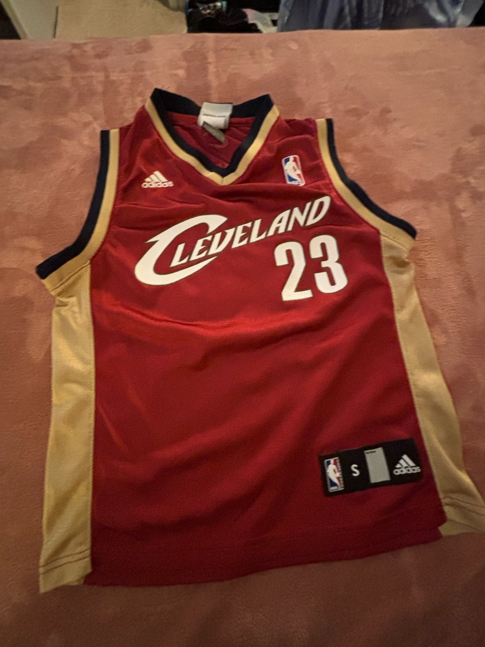 adidas Kids Cleveland Cavaliers Red and Gold Basketball Jersey #23
